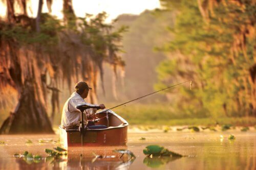 Minn Kota Endura 40 C2 Elektro Aussenbordmotor